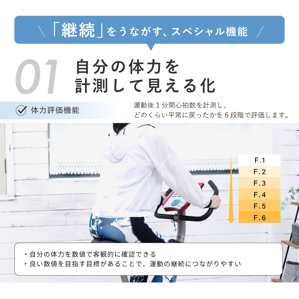 エアロマグネティックバイク6200R/af6200r