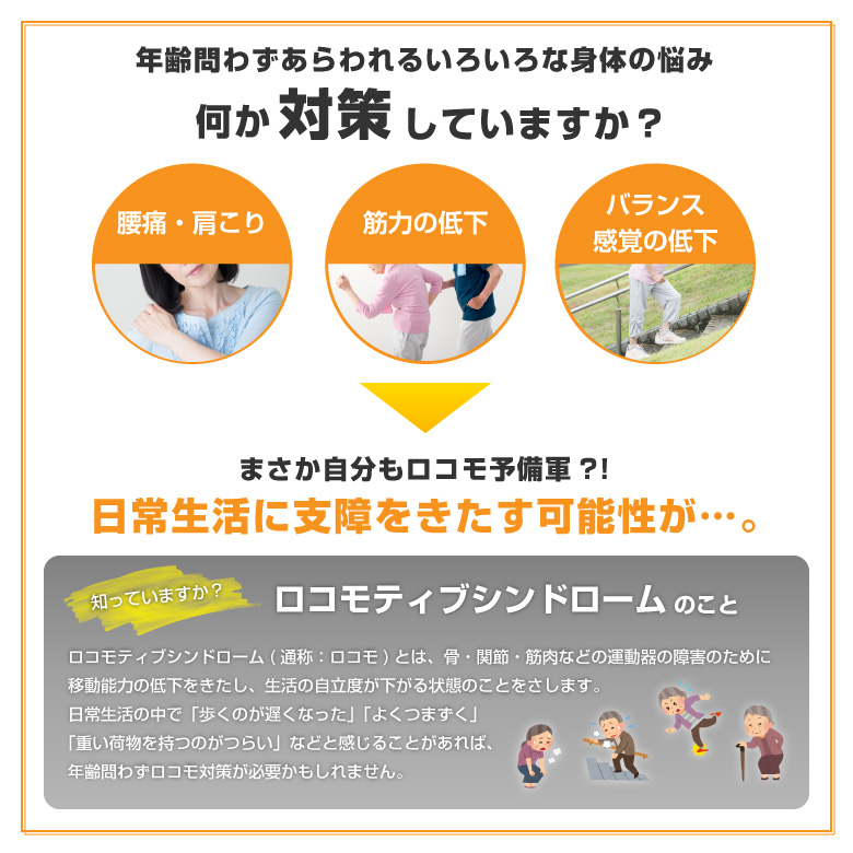 バランスウォーク/EX8017