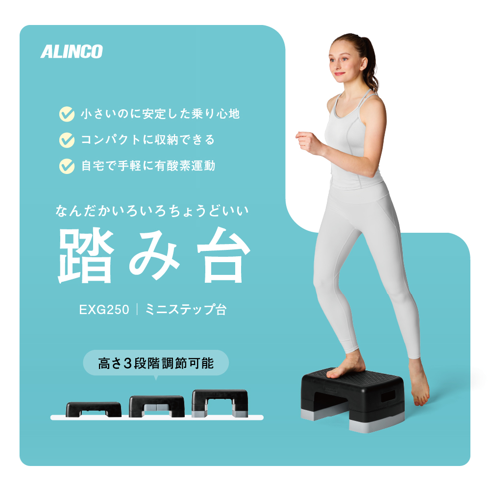 ミニステップ台/EXG250