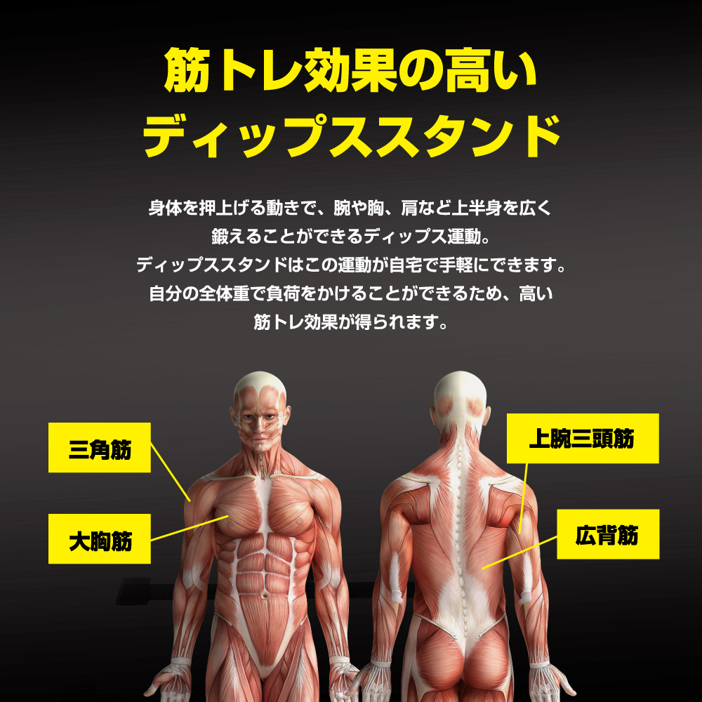 ディップススタンド/FA53