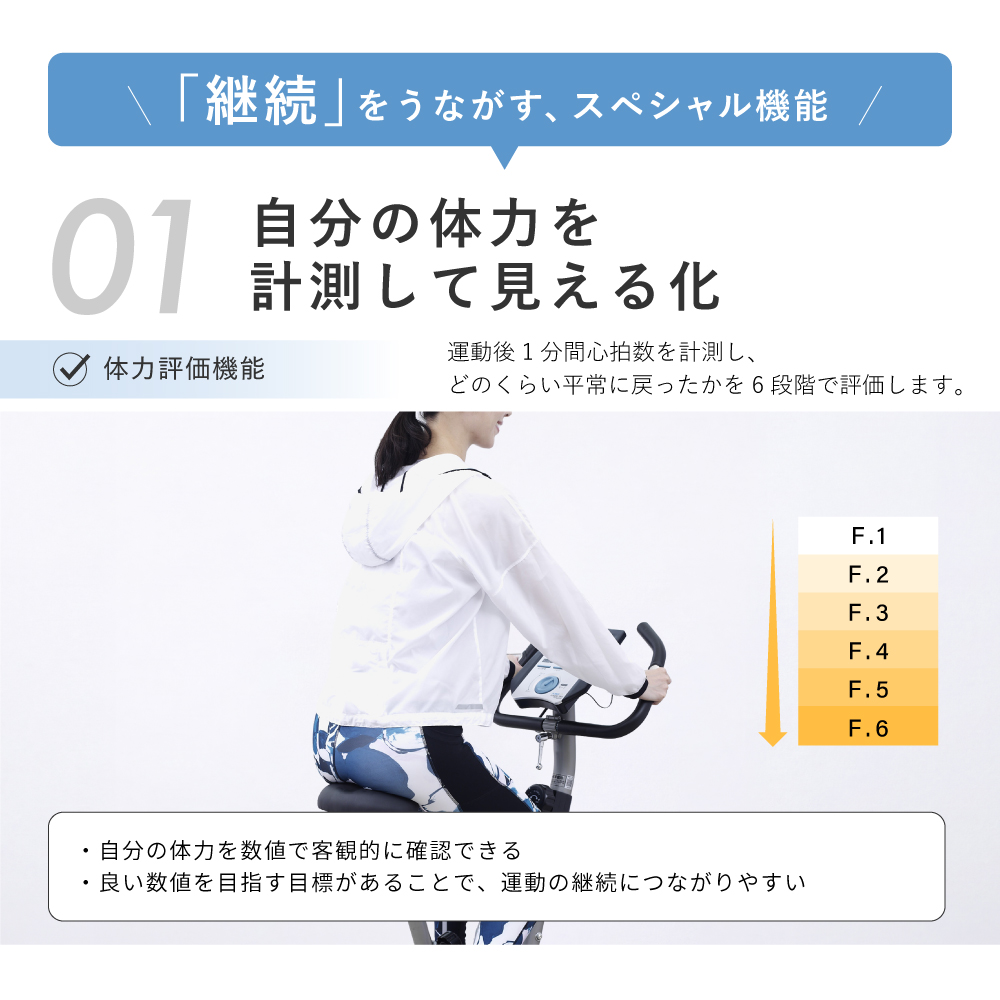 エアロマグネティックバイク6200/0