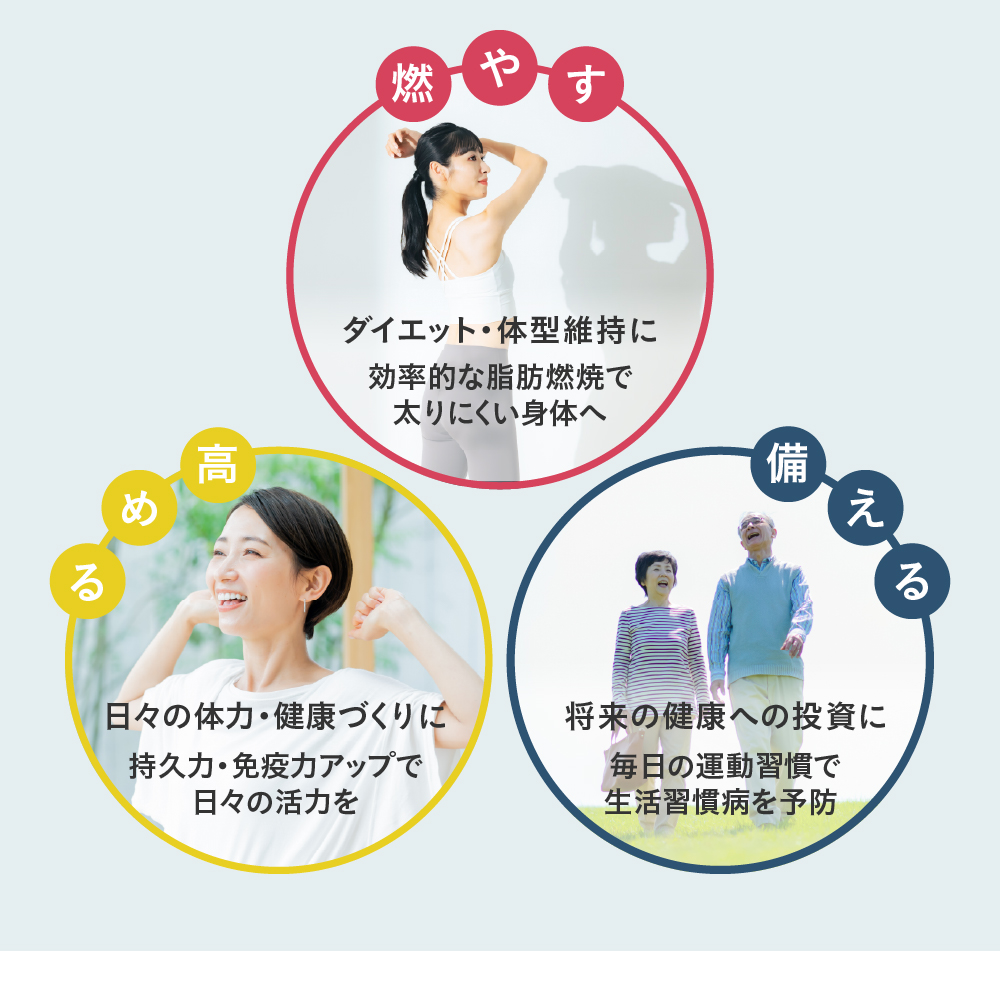 ハンドル付きステッパー4127/FA4127