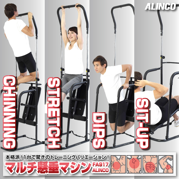 タイムセール 29日21時 1日9時 新品 フィットネス 健康 ダイエット トレーニング エクササイズ 脂肪燃焼 筋トレ 背筋 腹筋 基本送料無料 Fa917 マルチ懸垂マシン アルインコ Alinco 自宅 運動不足 ストレス発散 アルインコ公式オンラインショップ ありんこ屋