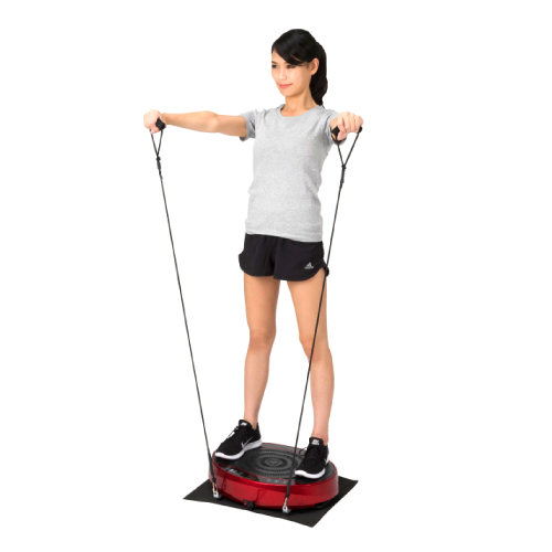 価格.com - アウトレット 振動マシン バランスウェーブミニ FAV4117R