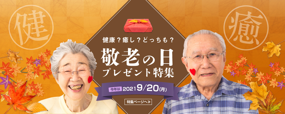 新品 パワーアンクル 美脚 フィットネス 健康 ダイエット トレーニング エクササイズ 脂肪燃焼 筋トレ Wb306 リスト アンクルウェイト1 0kg アルインコ Alinco 自宅 ボディメンテナンス ストレス発散 アルインコ公式オンラインショップ ありんこ屋
