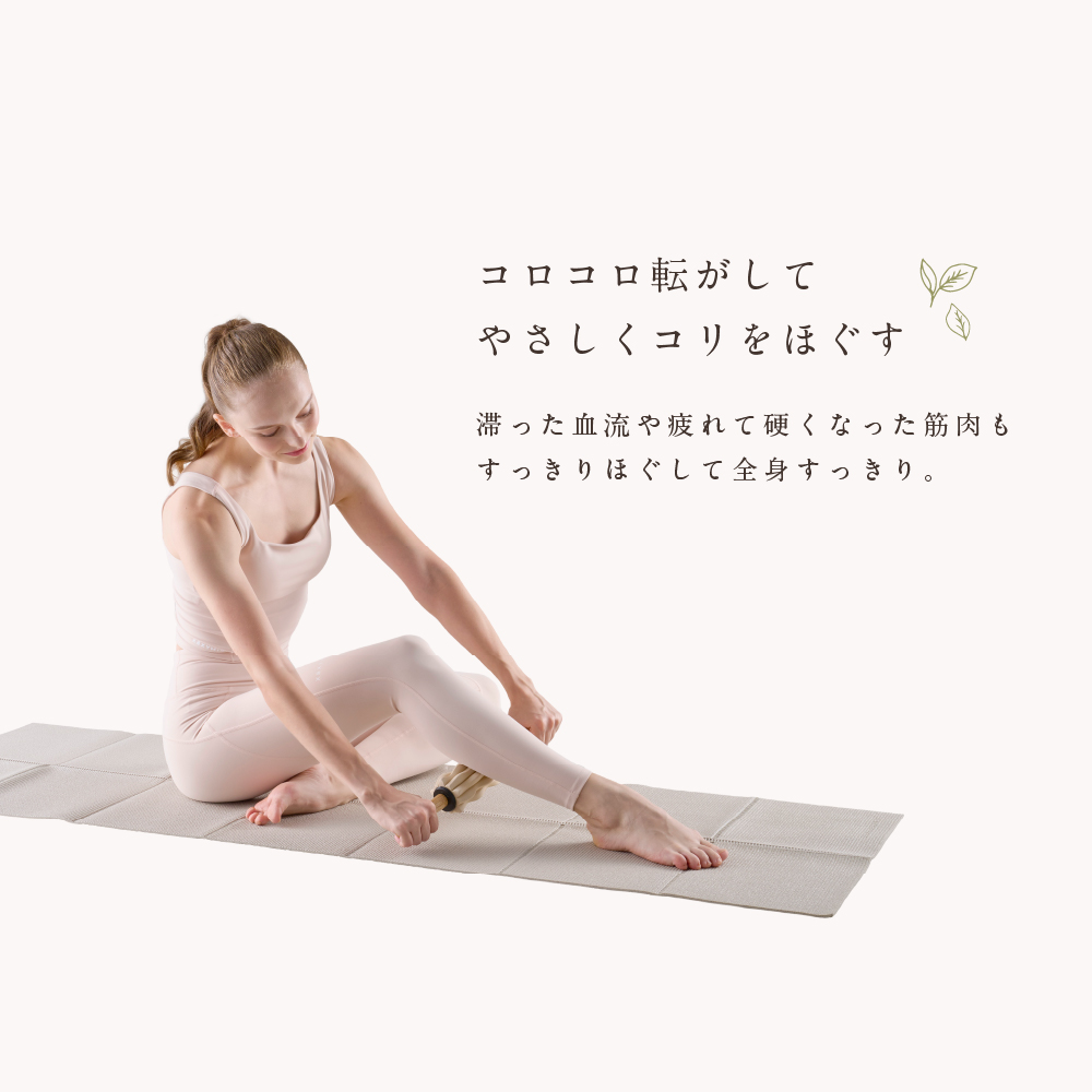 スティックローラー/MVS329