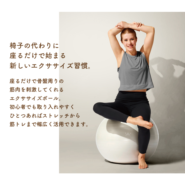 エクササイズボール65cm WBF065(新品)