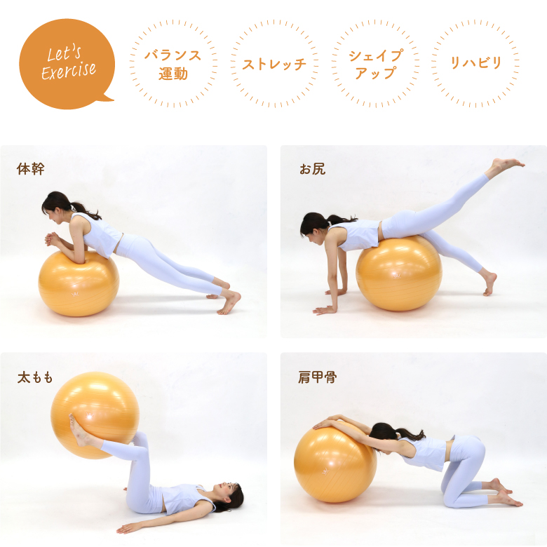 エクササイズボール65cm WBF065(新品)