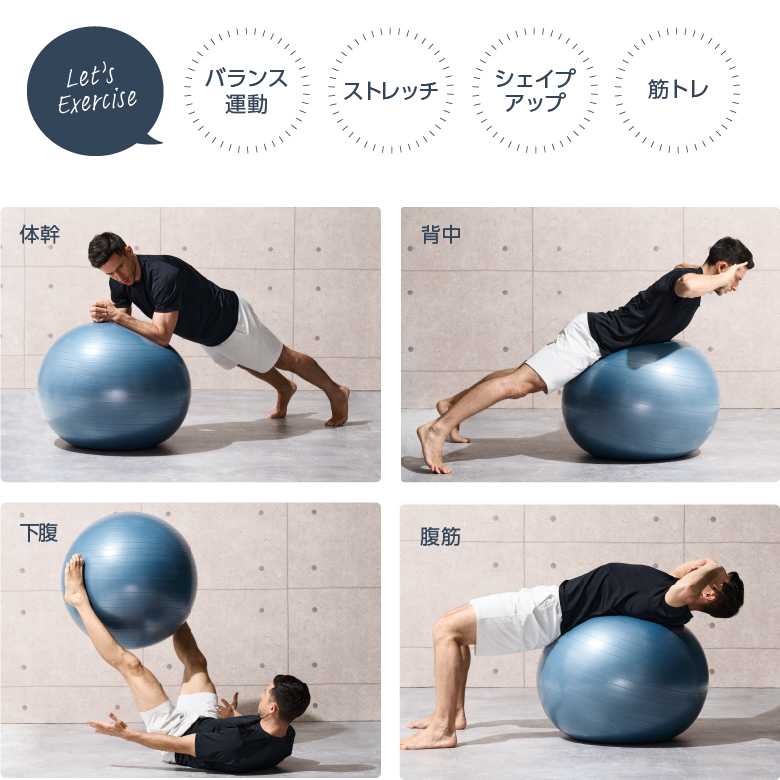 ペット用 エクササイズボール エクササイズボール75cm WBF075 (新品)